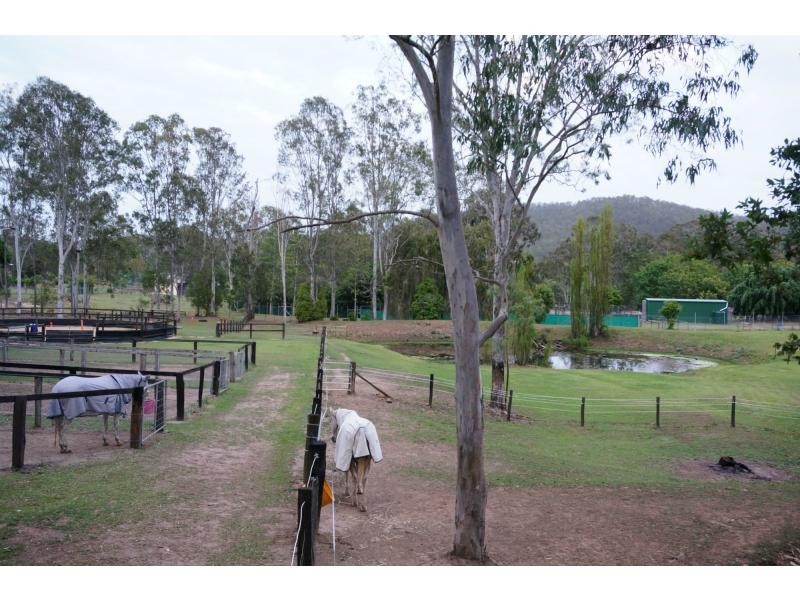 15 Needham Road, Cedar Creek QLD 4207