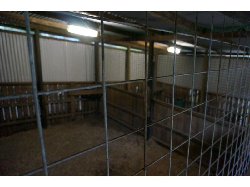 15 Needham Road, Cedar Creek QLD 4207