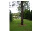 126 Barrenjoey Drive, Ormeau Hills QLD 4208