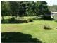 366 Hotham Creek Road, Willow Vale QLD 4209