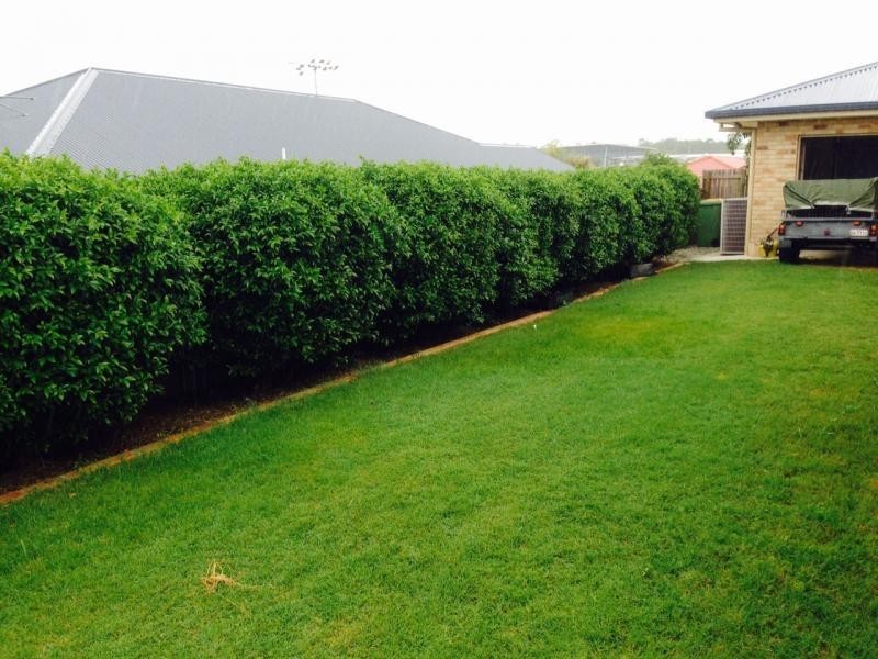 13 Manton Street, Ormeau QLD 4208