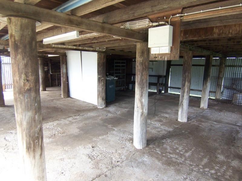 183 Norwell Road, Norwell QLD 4208