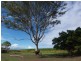183 Norwell Road, Norwell QLD 4208