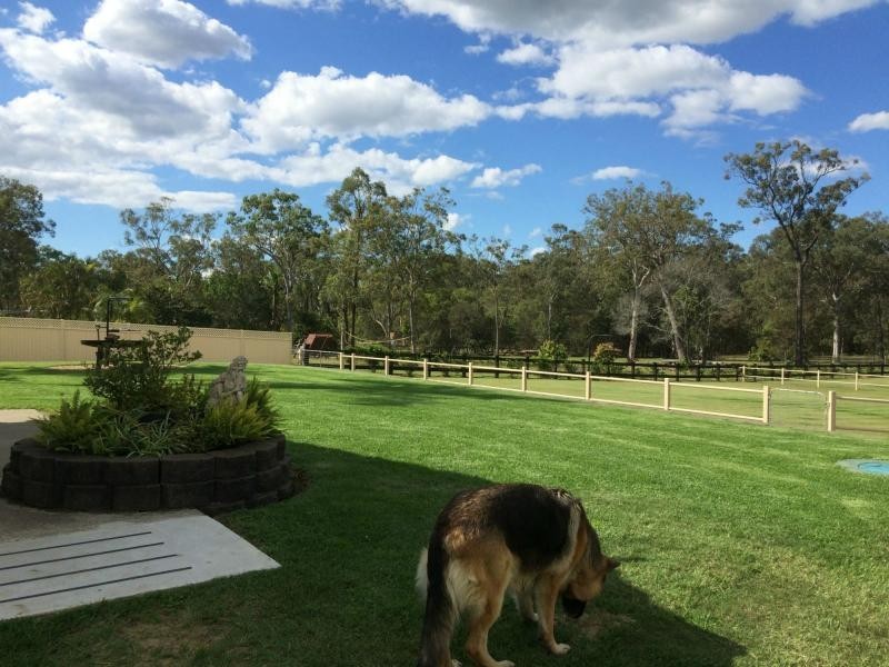 16 Healy Court, Ormeau QLD 4208
