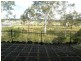 84 Ormeau Ridge Road, Ormeau Hills QLD 4208