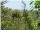 112 Guara Grove, Pimpama QLD 4209