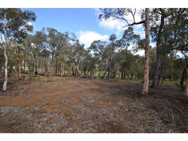304 Maine-Anjou Drive, Lower Chittering WA 6084