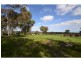 304 Maine-Anjou Drive, Lower Chittering WA 6084