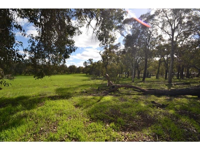 304 Maine-Anjou Drive, Lower Chittering WA 6084