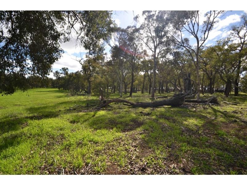 304 Maine-Anjou Drive, Lower Chittering WA 6084