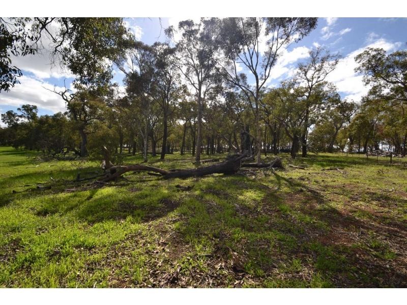 304 Maine-Anjou Drive, Lower Chittering WA 6084