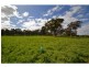 304 Maine-Anjou Drive, Lower Chittering WA 6084