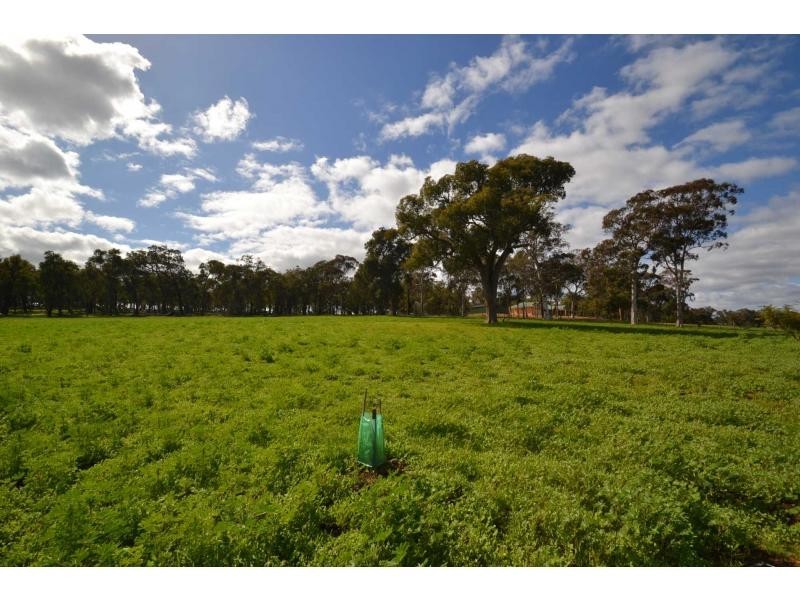 304 Maine-Anjou Drive, Lower Chittering WA 6084