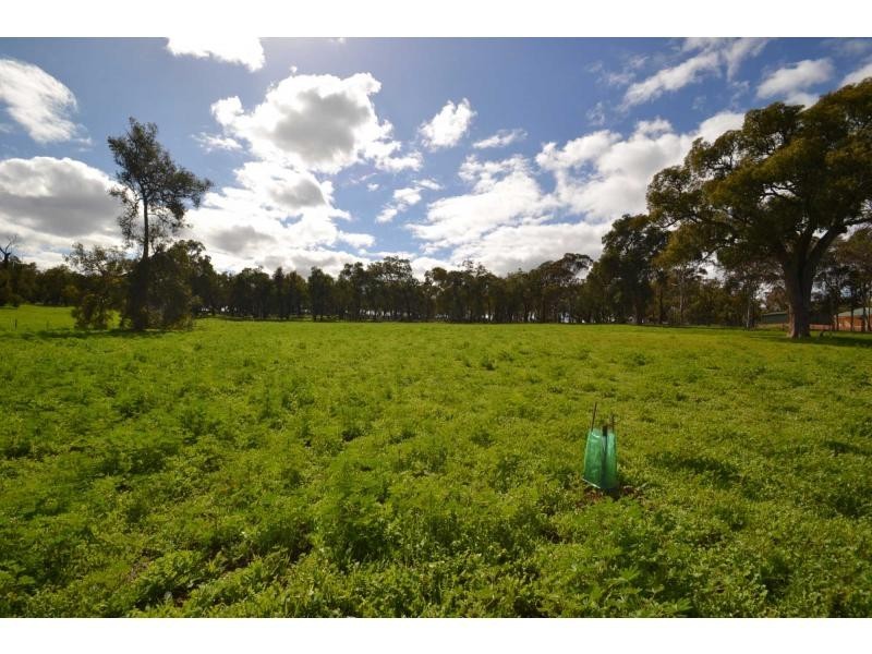 304 Maine-Anjou Drive, Lower Chittering WA 6084