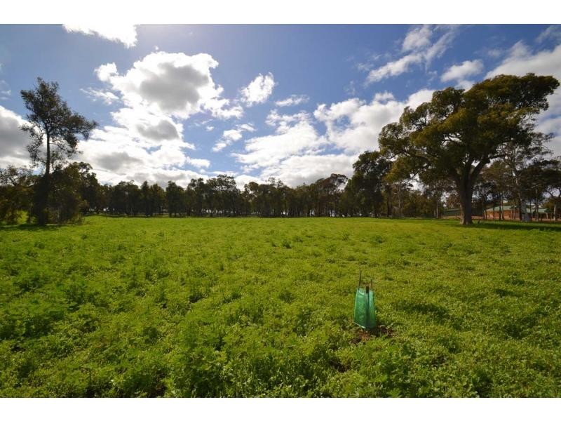 304 Maine-Anjou Drive, Lower Chittering WA 6084