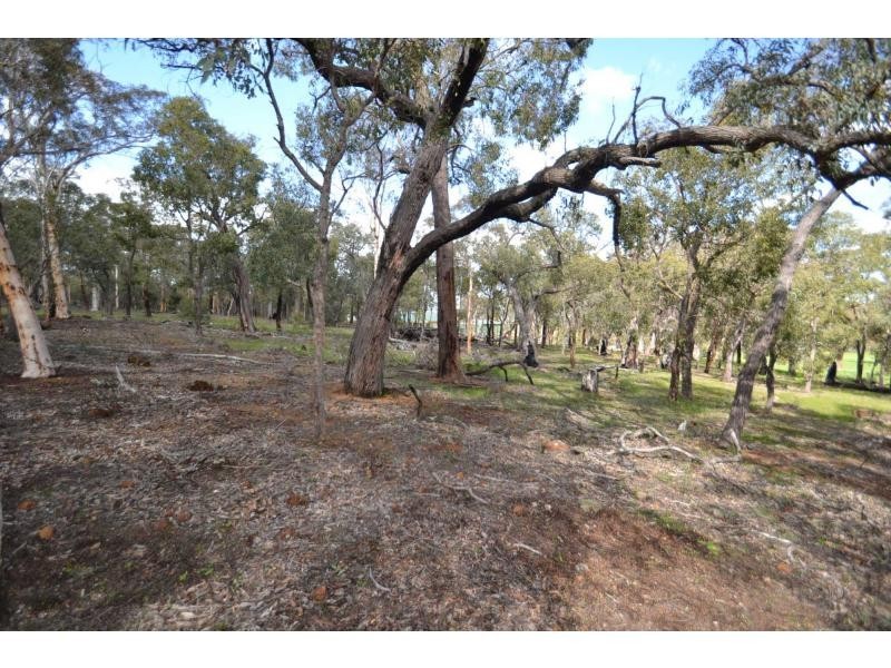 304 Maine-Anjou Drive, Lower Chittering WA 6084