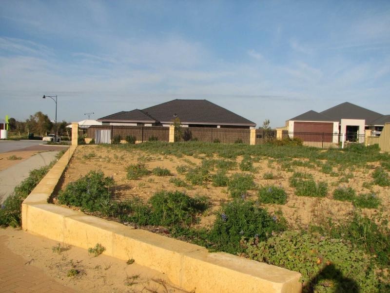 131 Rosegreen Avenue, Butler WA 6036