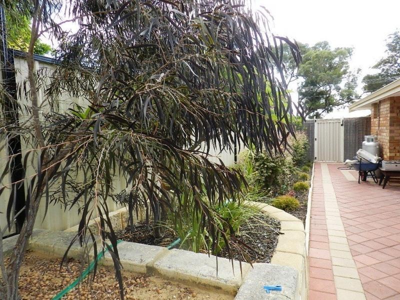 18 Sunningdale Road, Yanchep WA 6035