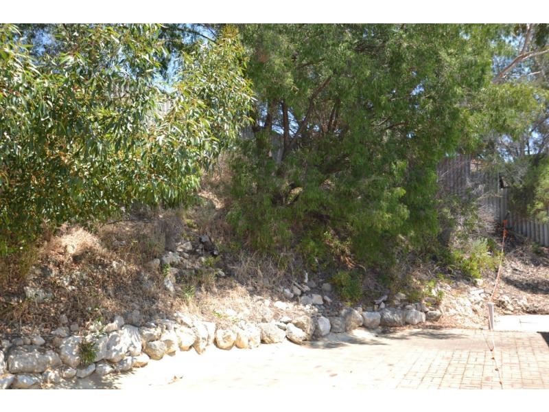 11 Osprey Grove, Edgewater WA 6027