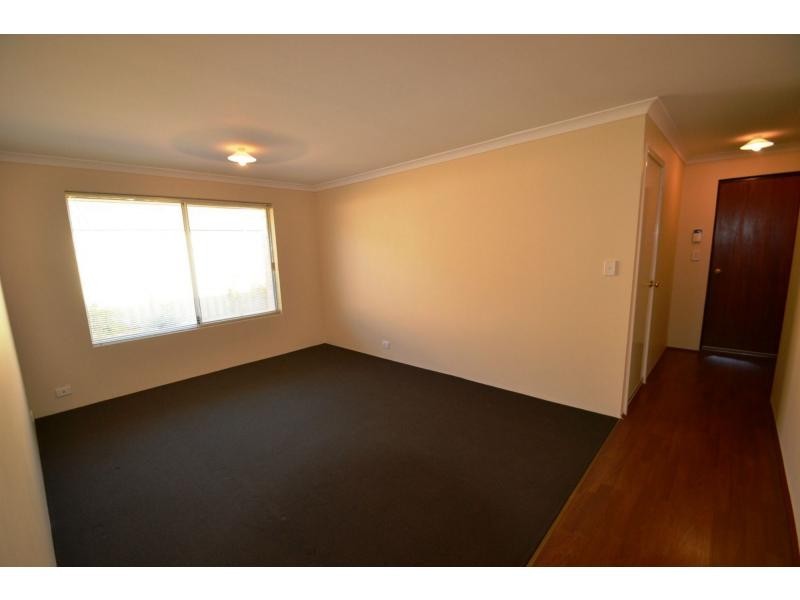 6 Mallow Link, Butler WA 6036