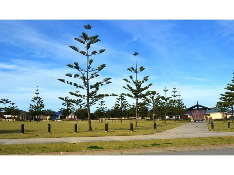 31 Salterforth Road, Butler WA 6036