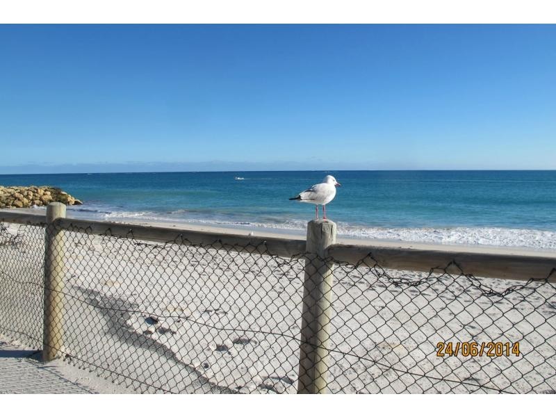 8 Hazel Avenue, Quinns Rocks WA 6030