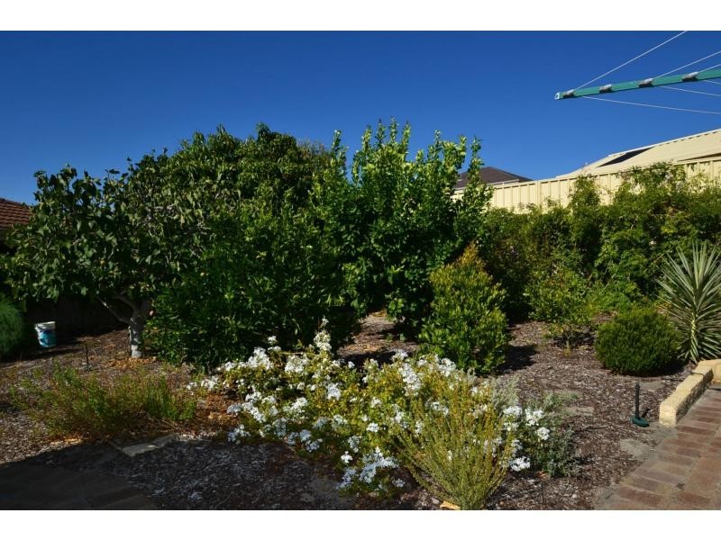 7 Vance Close, Kingsley WA 6026