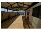 8 Renoir Lane, Currambine WA 6028