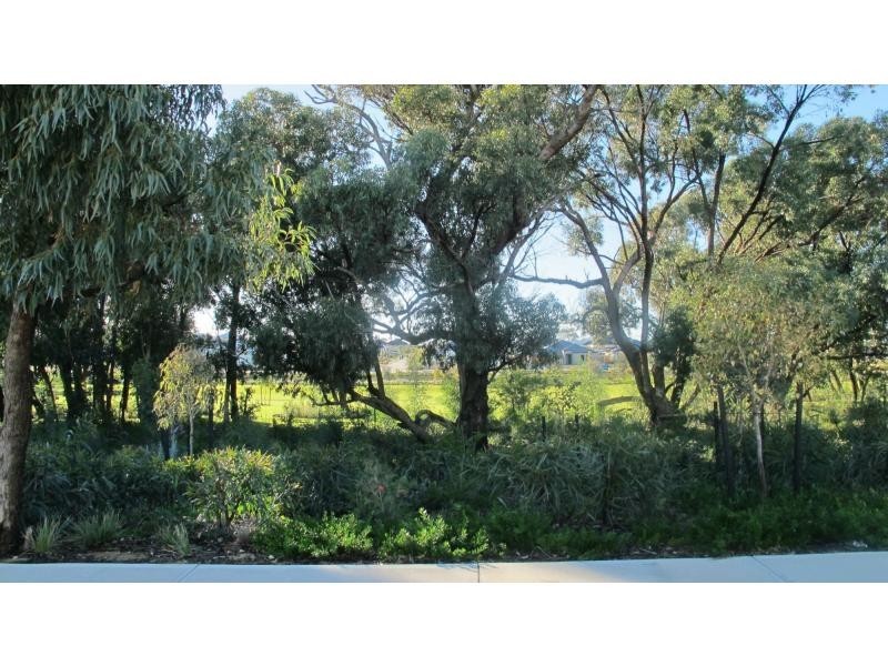 27 Newbliss Gardens, Butler WA 6036