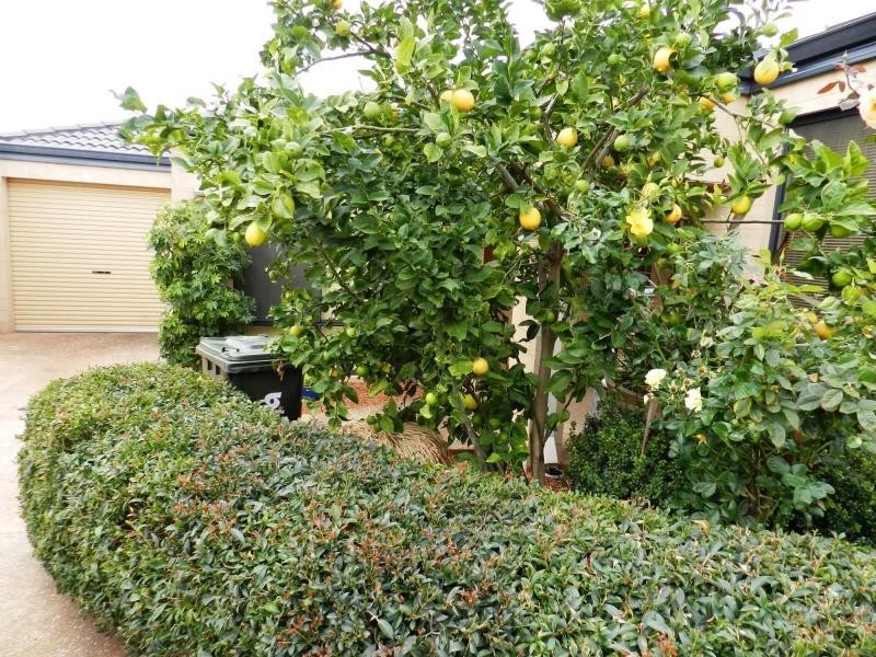 93b Ravenswood Drive, Westminster WA 6061