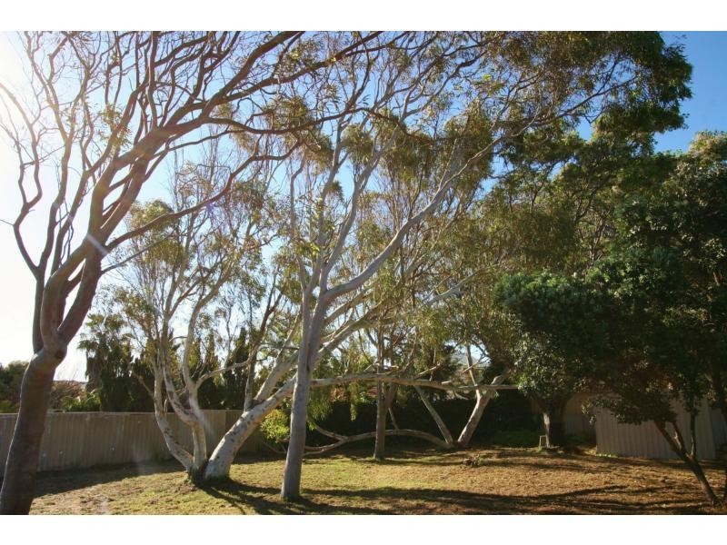 3 Abalone Place, Burns Beach WA 6028