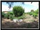 16 Emeu Street, Port Clinton SA 5570