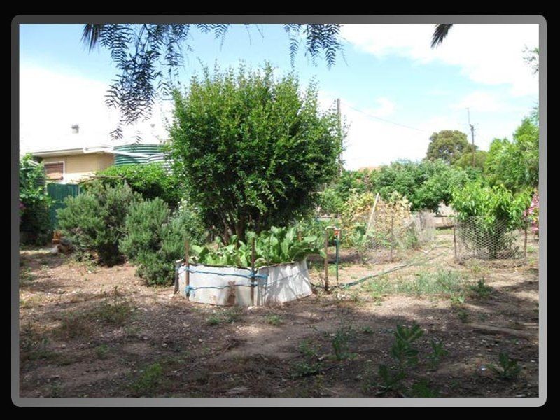 16 Emeu Street, Port Clinton SA 5570