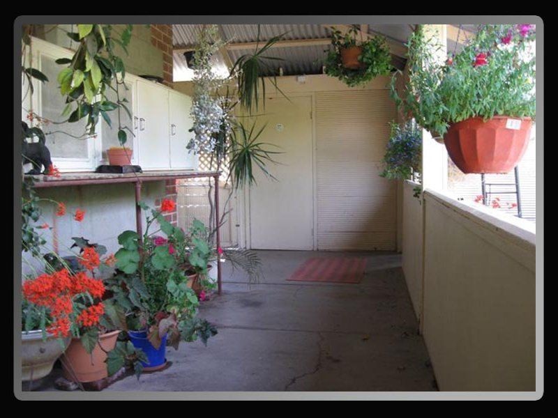 15 Samuel Street, Maitland SA 5573