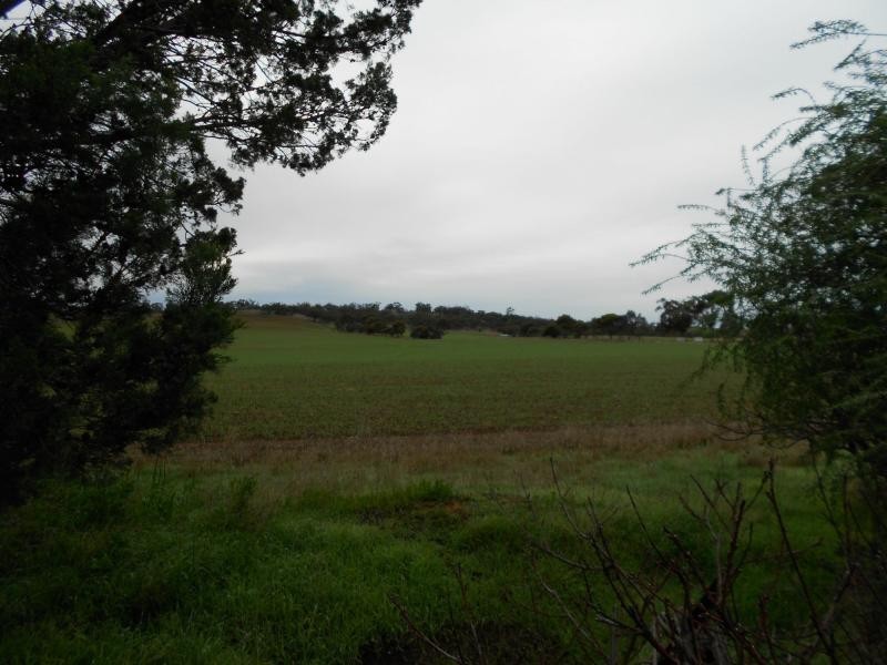 L257 Borgas Road, Wirrabara SA 5481