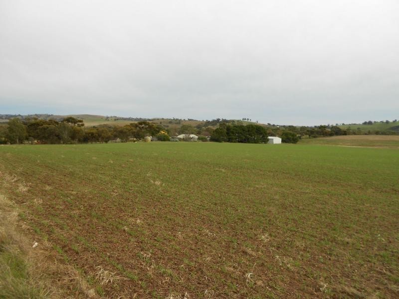 L257 Borgas Road, Wirrabara SA 5481