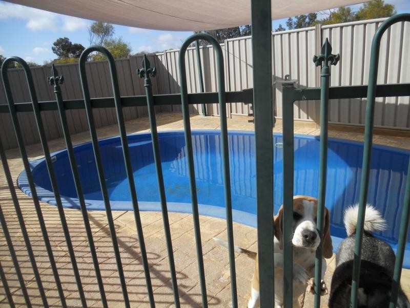 52 Hermit Street, Roxby Downs SA 5725