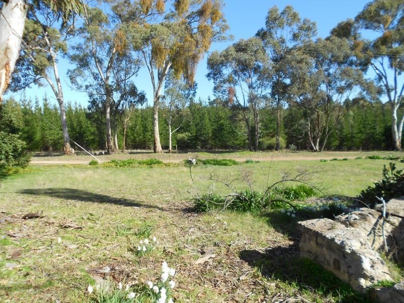 L404 Dave Whalan Road, Wirrabara SA 5481