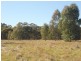 L404 Dave Whalan Road, Wirrabara SA 5481