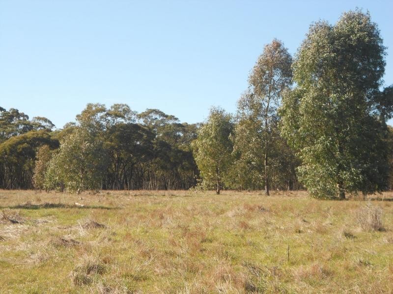 L404 Dave Whalan Road, Wirrabara SA 5481