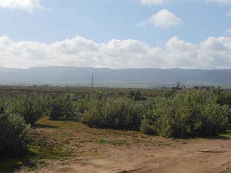 L828/836 Boundary Road, Coonamia SA 5540