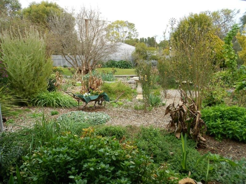 Lot 413 Charles Street, Caltowie SA 5490
