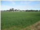 27 Elizabeth Road, Maitland SA 5573