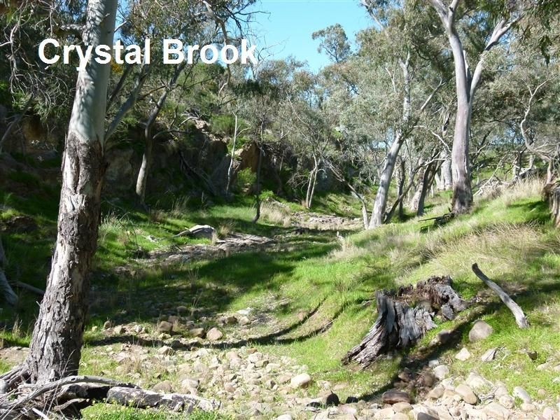 L89 Beetaloo Valley Road, Beetaloo SA 5523