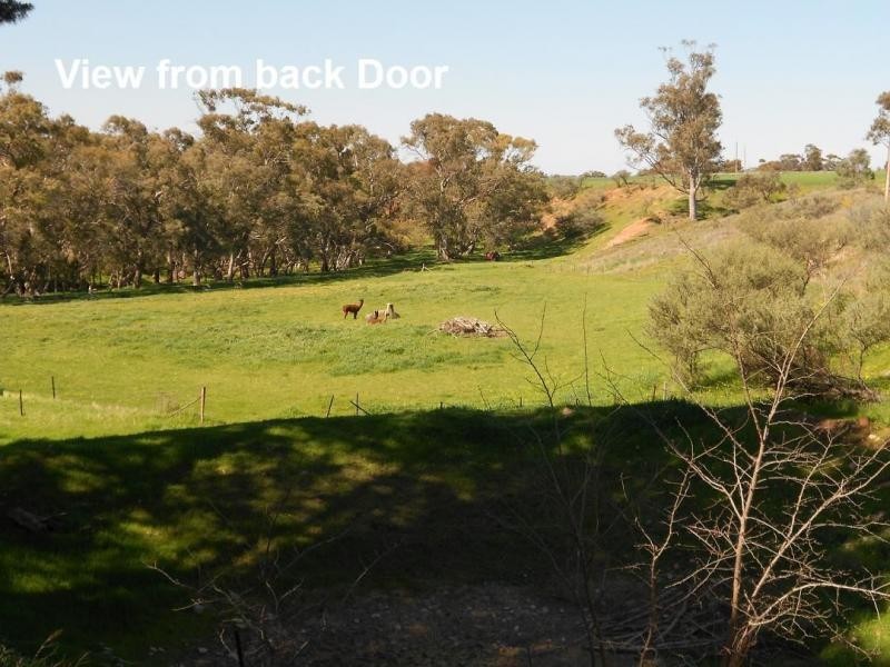 L89 Beetaloo Valley Road, Beetaloo SA 5523