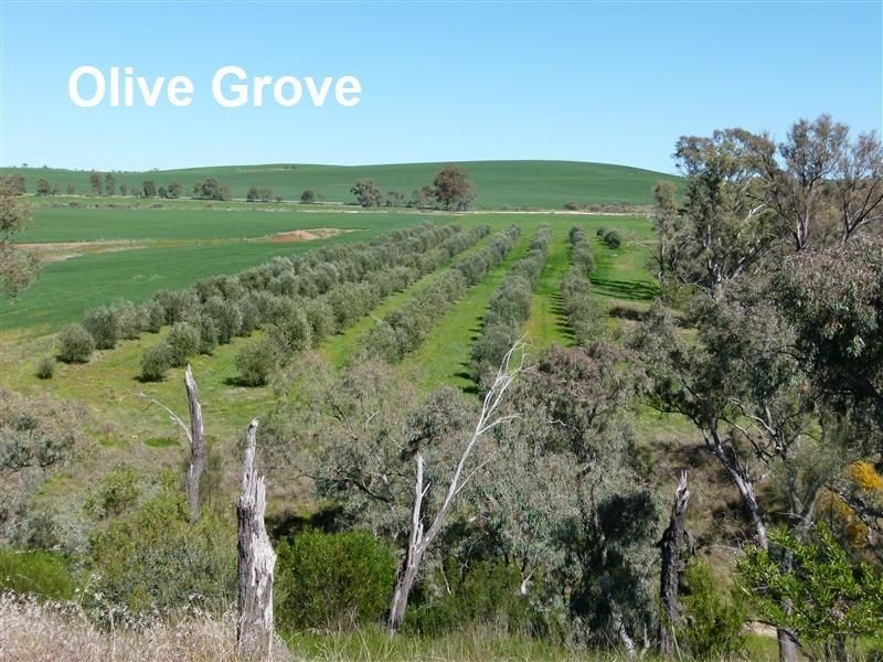 L89 Beetaloo Valley Road, Beetaloo SA 5523