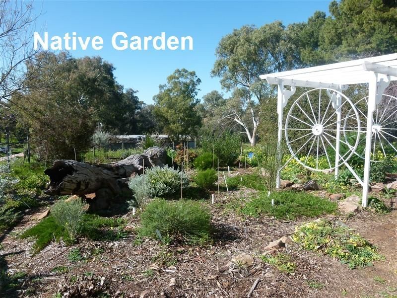 L89 Beetaloo Valley Road, Beetaloo SA 5523