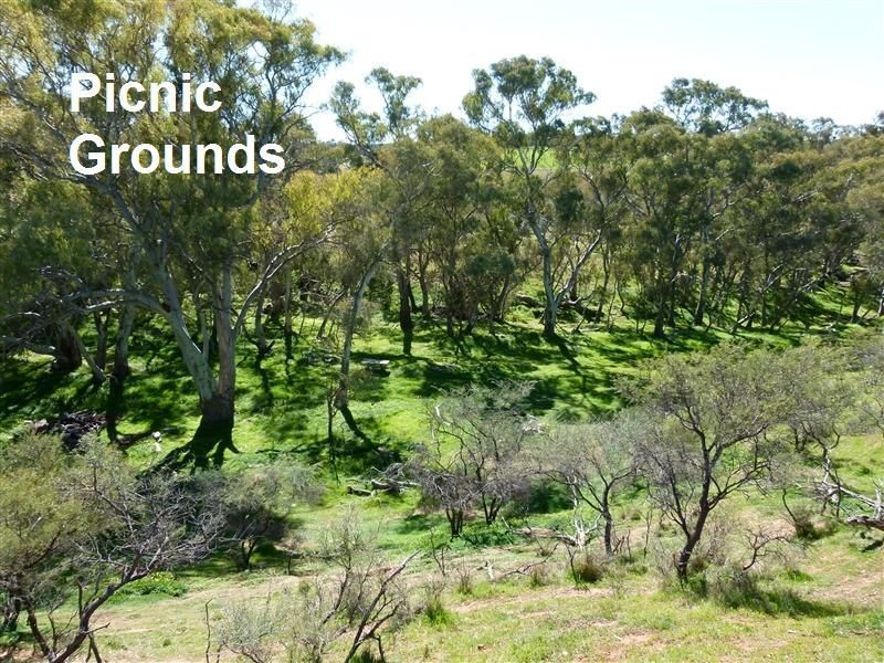 L89 Beetaloo Valley Road, Beetaloo SA 5523