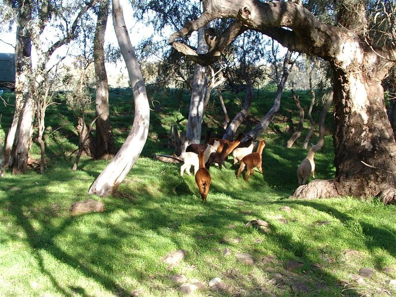 L89 Beetaloo Valley Road, Beetaloo SA 5523