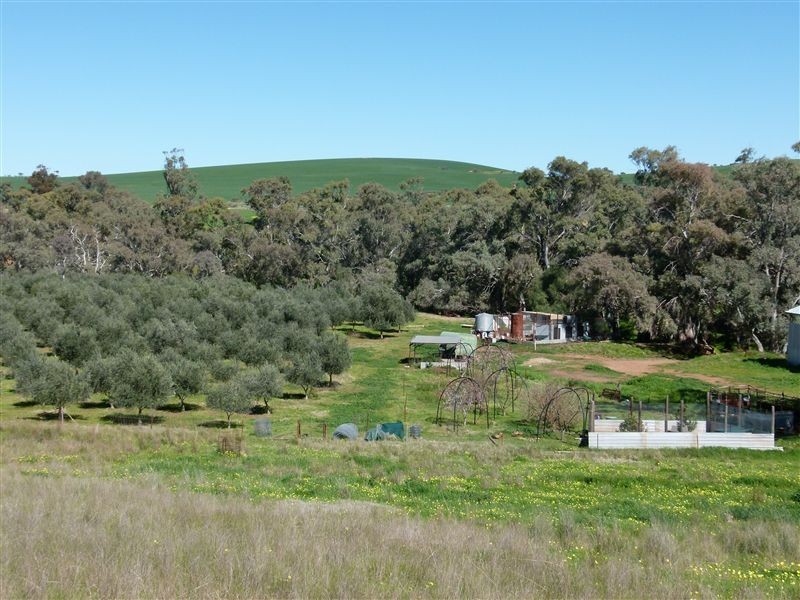 L89 Beetaloo Valley Road, Beetaloo SA 5523